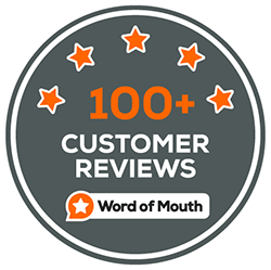 100 Customer Reviews